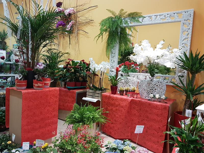 Floristería Jesús Guillén 3