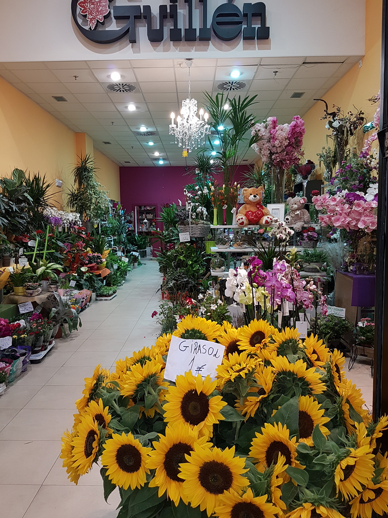 Floristería Jesús Guillén 5