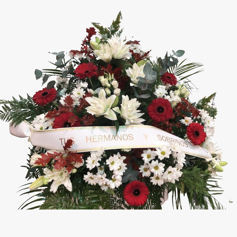 Florister&iacute;a Jes&uacute;s Guill&eacute;n 3