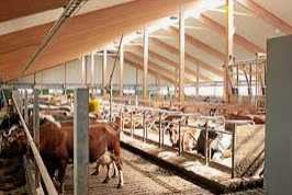 Agrupación Ganadera Montes De Yebenes S. Coop. Ltda.