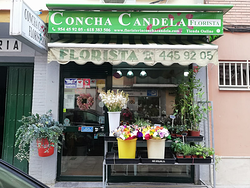 Floristería Concha Candela Sevilla Floristería Concha Candela Sevilla