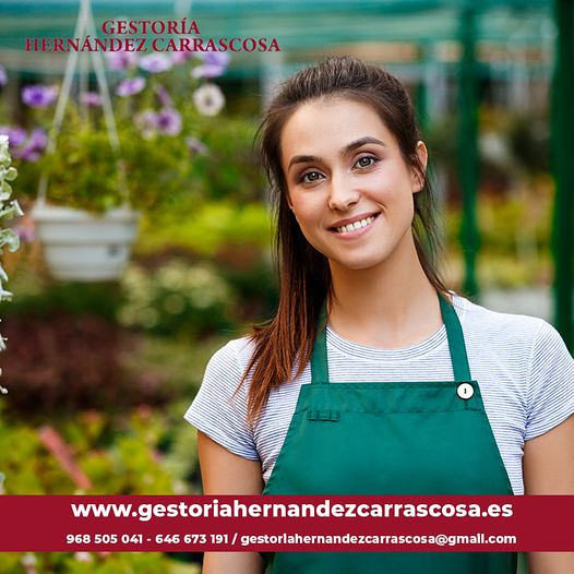 Gestoría Hernández Carrascosa 28