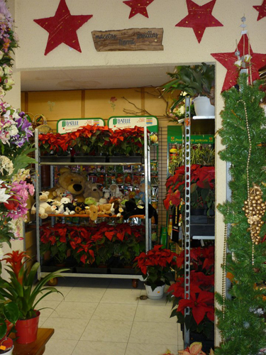 Floristería Yerbaflor Sabiñánigo