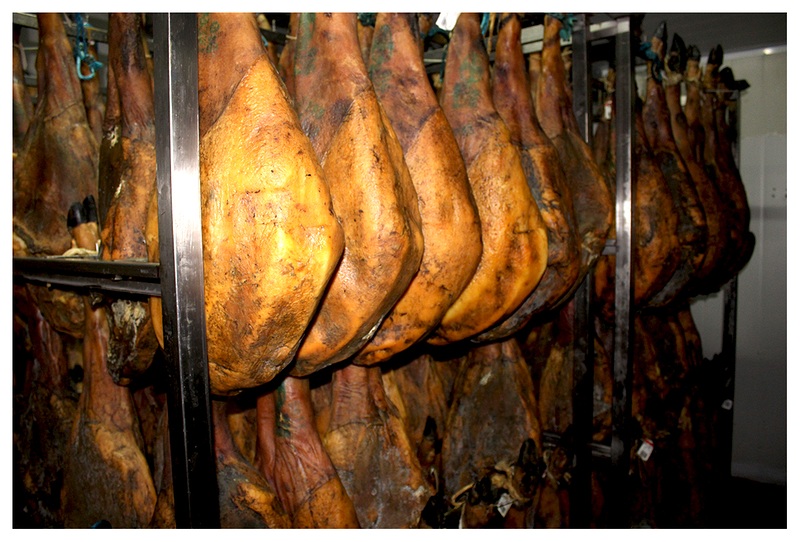 C&aacute;rnicas Villa Cuenca S.A. 4