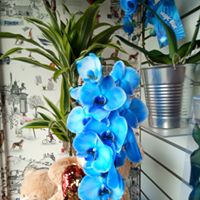 Galería de imágenes