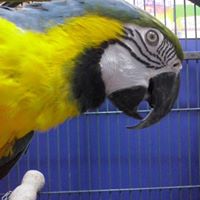 Galería de imágenes