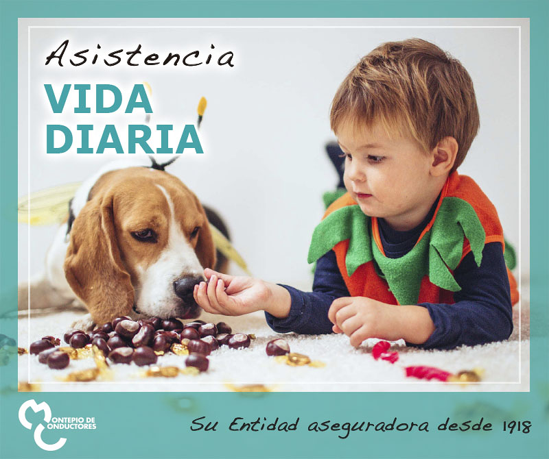 Montepío De Conductores MUTUALIDADES DE PREVISION SOCIAL