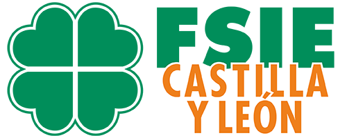 FSIE Castilla y León