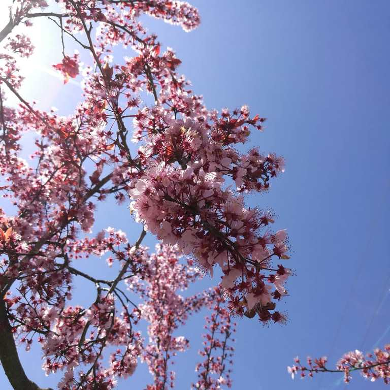 ASPROSUB "Virgen de la Vega" 3