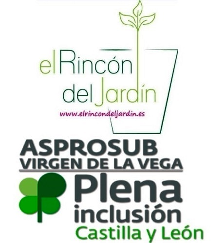 ASPROSUB "Virgen de la Vega" FUNDACIONES DE AYUDA Y ATENCION A PERSONAS CON DISCAPACIDAD PSIQUICA