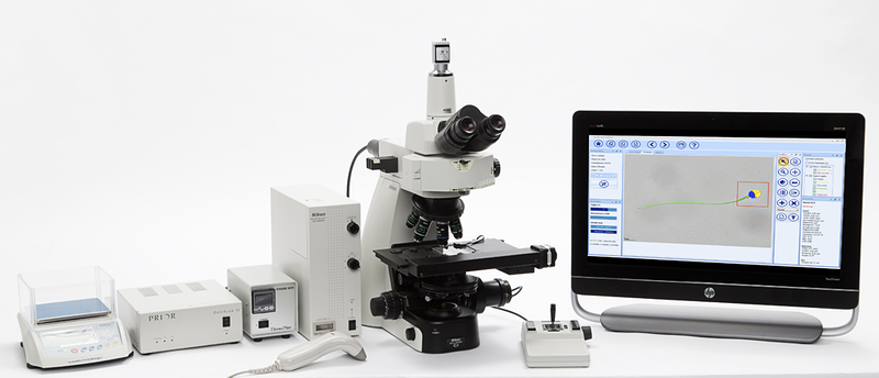 MICROPTIC, S.L. BIOTECNOLOGIA: INVESTIGACION Y DESARROLLO
