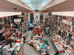 Galería de imágenes