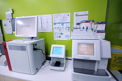 Hospital Veteralia Movet Mollet del Vallès Hospital Veteralia Movet Mollet del Vallès