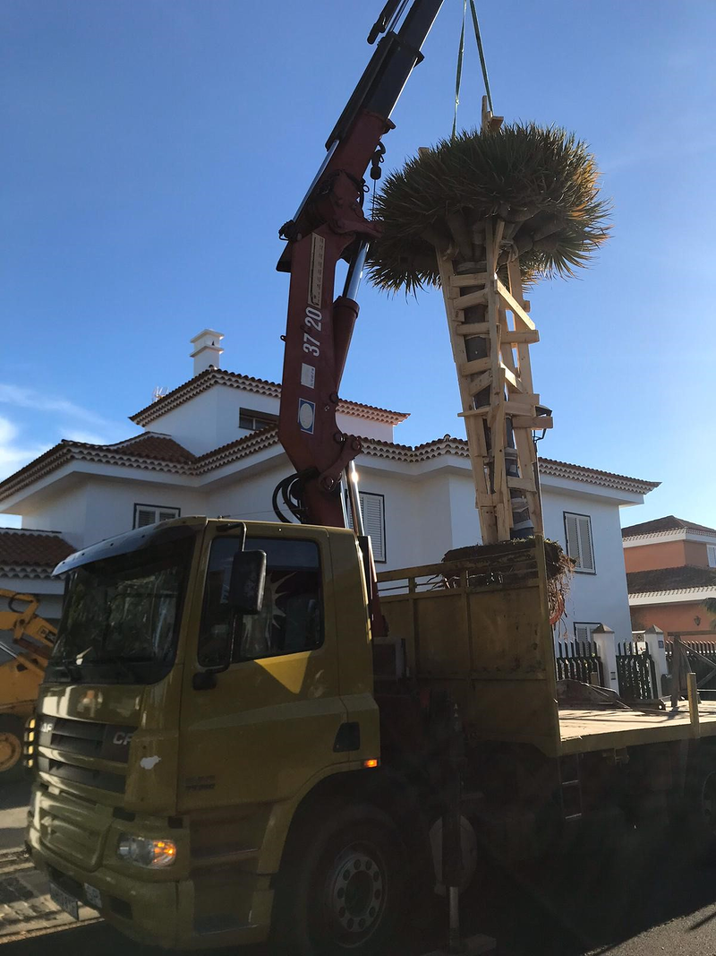 Transportes y Gr&uacute;as Sisi 4