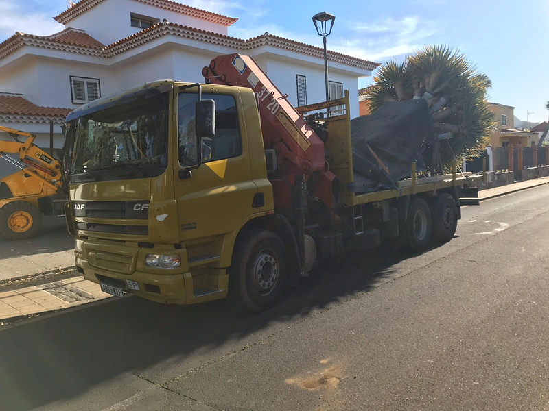 Transportes y Gr&uacute;as Sisi 8