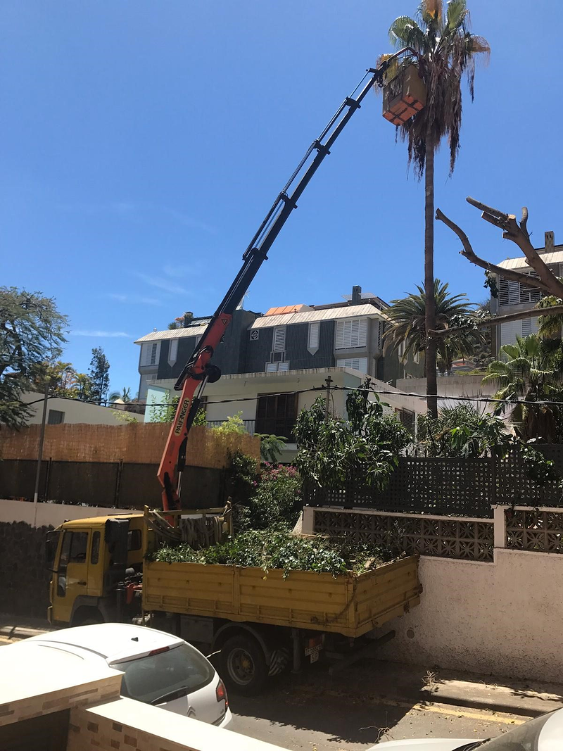 Transportes y Gr&uacute;as Sisi 5