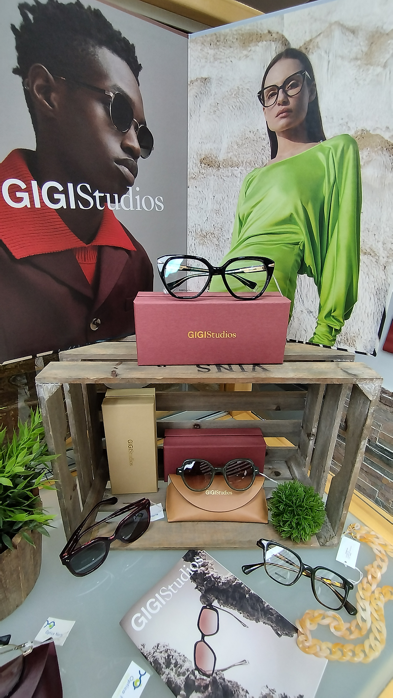 &Oacute;ptica Norte 4