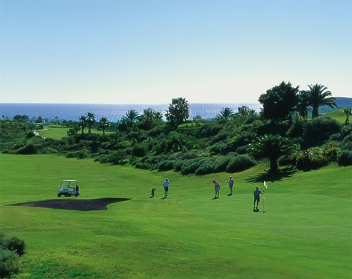 HERMANOS DONIZ DIAZ S.L. 7