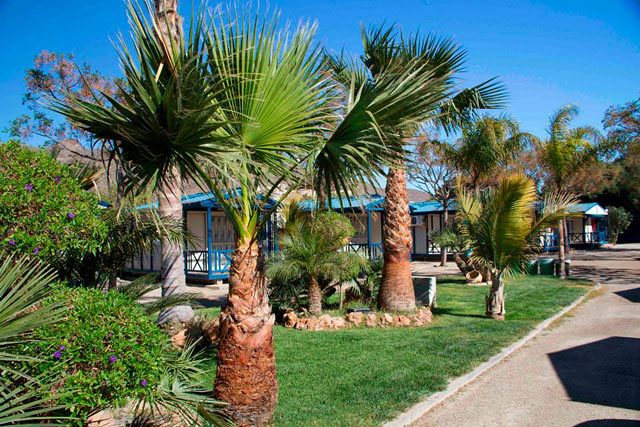 Camping Playa De Mazarr&oacute;n CAMPINGS
