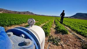 Imagen de Comunidad Regantes Almassora