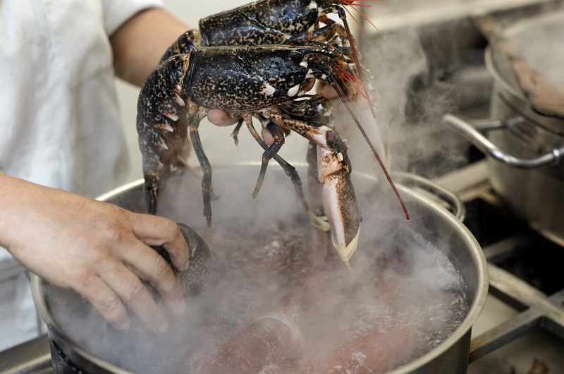 Casa C&aacute;mara 14