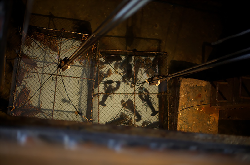 Casa C&aacute;mara 5