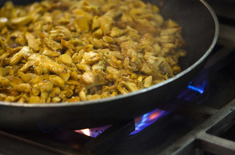 Casa C&aacute;mara 16