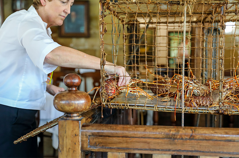 Casa C&aacute;mara 6