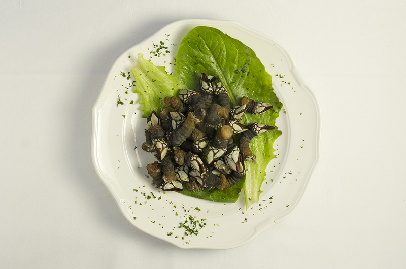 Casa C&aacute;mara 19