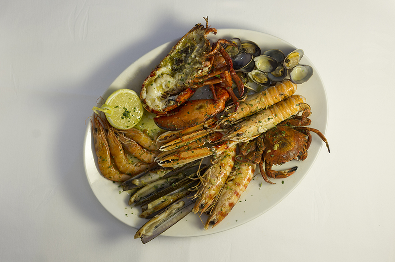 Casa C&aacute;mara 9