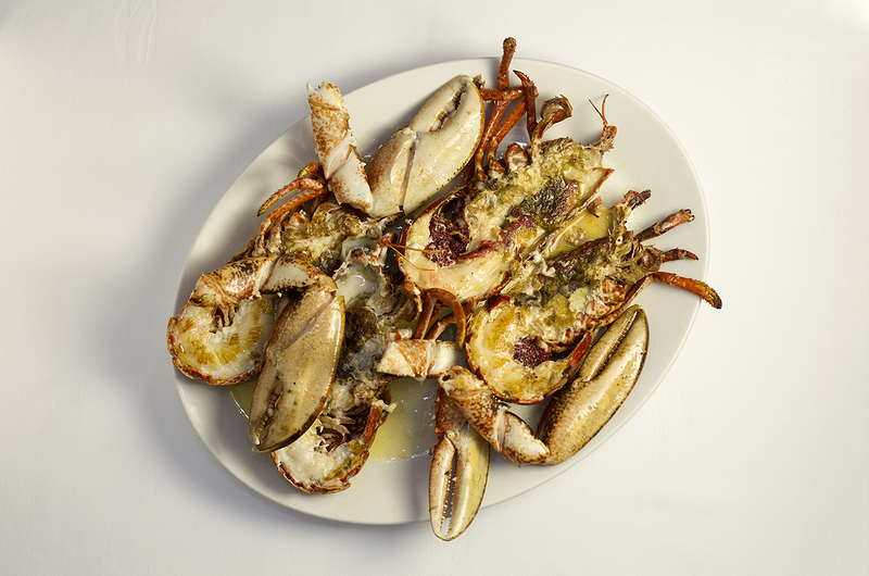 Casa C&aacute;mara 13