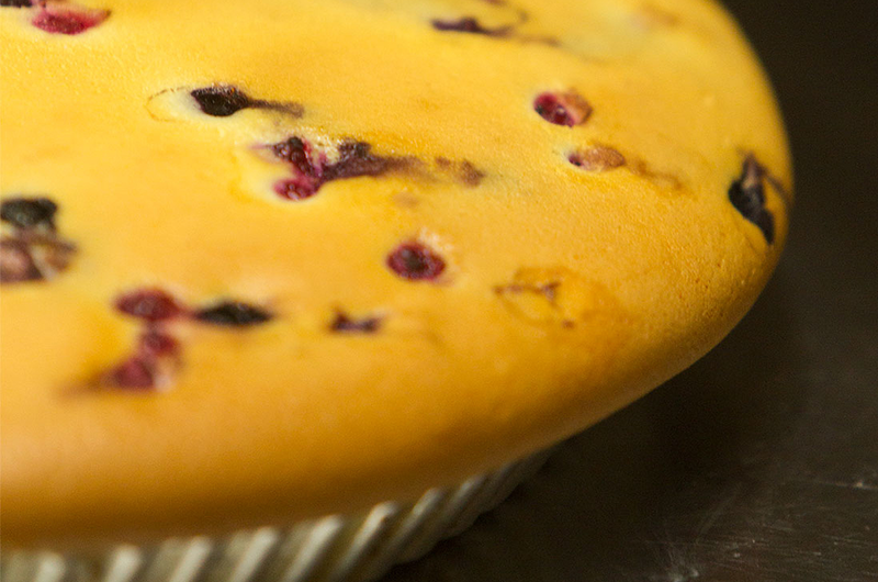 Casa C&aacute;mara 23