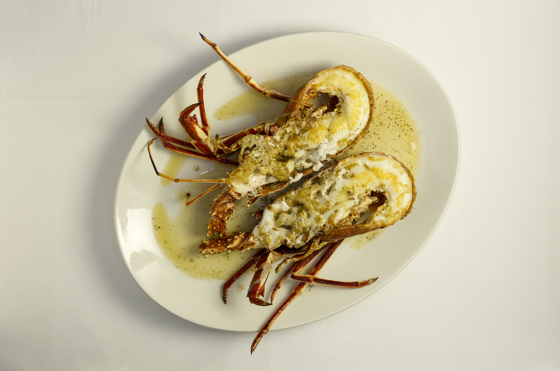 Casa C&aacute;mara 8