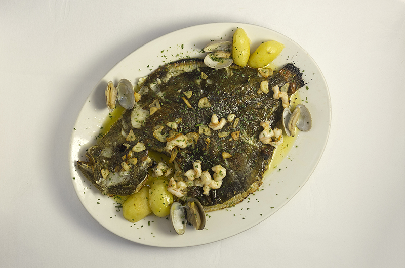 Casa C&aacute;mara 10