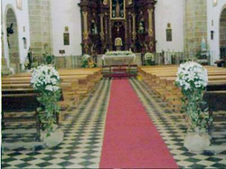 Galería de imágenes