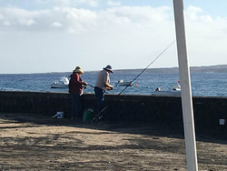 Galería de imágenes