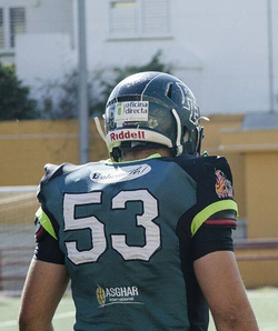 Galería de imágenes