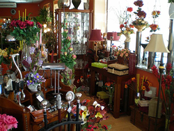 Galería de imágenes