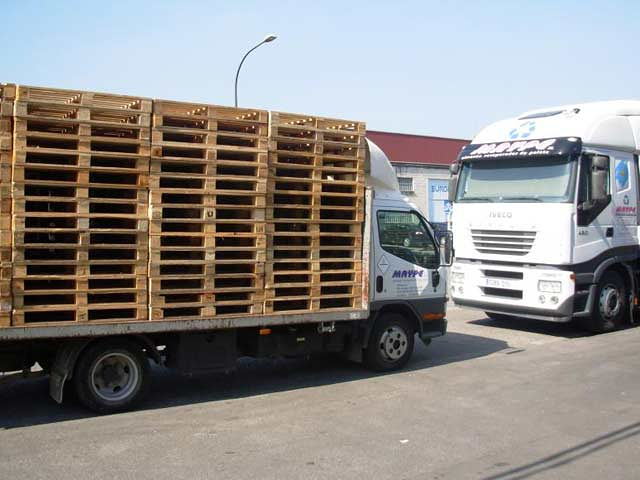 Palest Y Reciclajes Maype S.L. 2