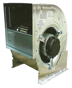 Galería de imágenes