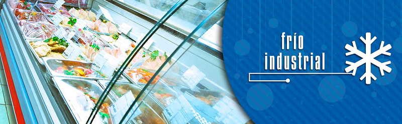 Grup Ibarsfred S.L. 2