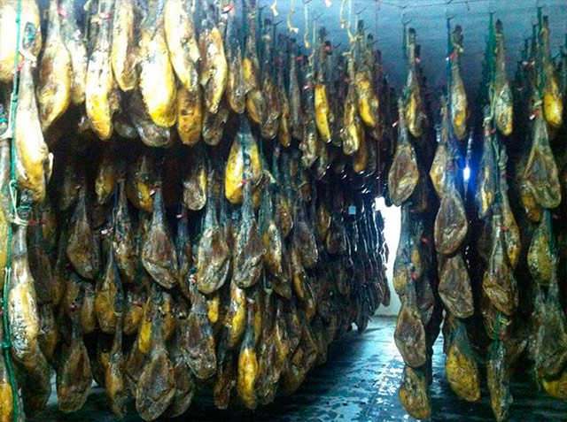 Montesano Extremadura 3