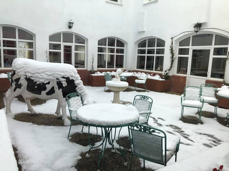 Residencia las Magnolias RESIDENCIAS PARA PERSONAS MAYORES