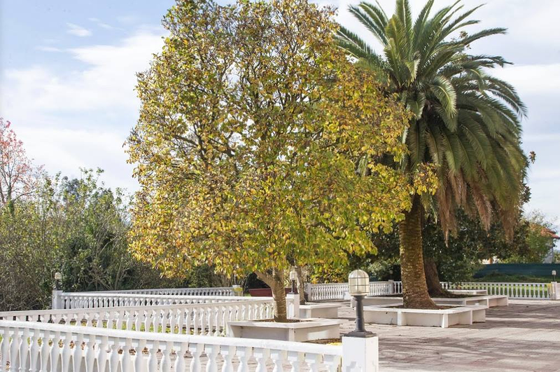 Residencia las Magnolias 2