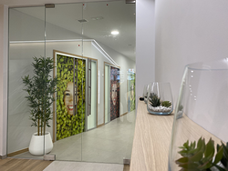 Galería de imágenes