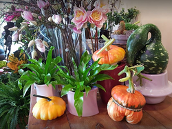Floristería Arriluze