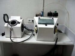 Galería de imágenes