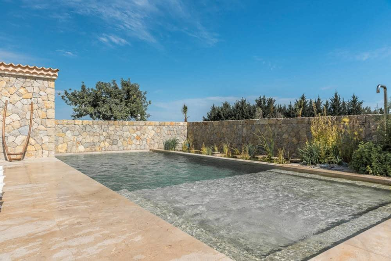 &Aacute;rboles de Mallorca 13