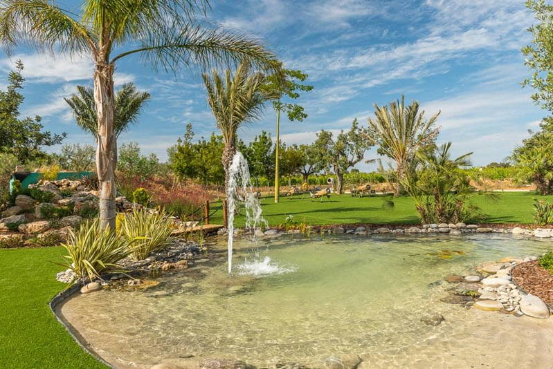 &Aacute;rboles de Mallorca 3