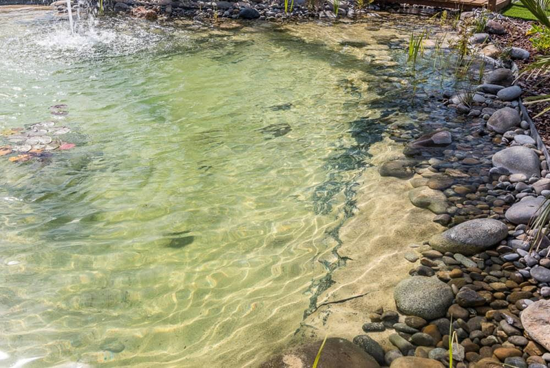 &Aacute;rboles de Mallorca 10